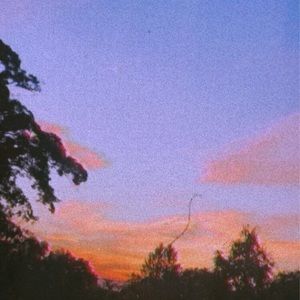 Meet your Posher, Maeve